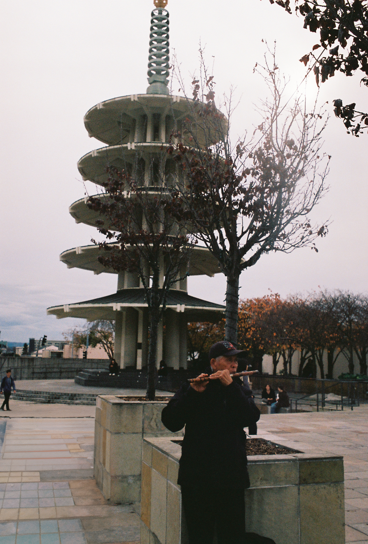 Color Film